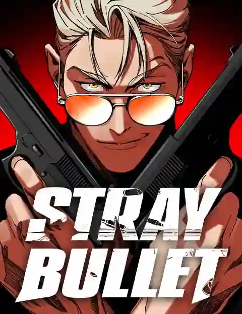 Stray Bullet